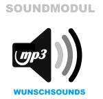 RC Wunsch MP3 Soundmodul Sound Geräusche Geräuschelektronik Sounds Ton